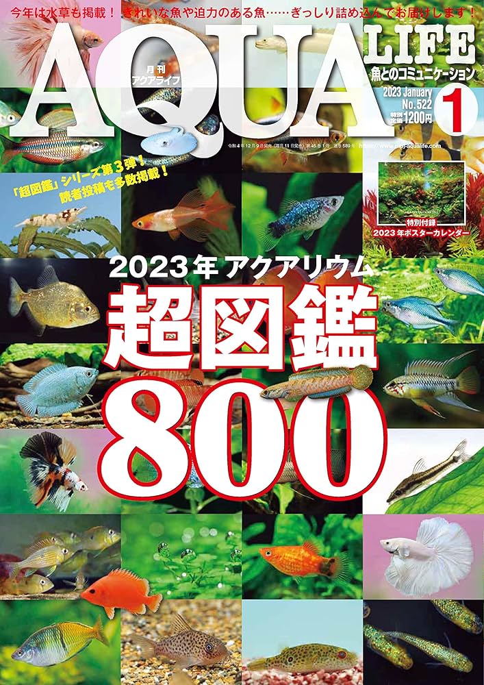 アクアライフ（月刊雑誌）⚠️1冊800円です。 月刊アクアライフ 2023年01月号 2023年アクアリウム超図鑑800